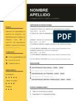 252 Curriculum Vitae para Editar 97 2003