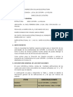 Informe Tecnico de Inspeccion Ocular de Estructura Local LA MOLINA