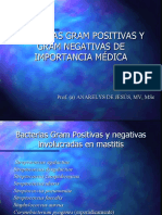 Bacterias Gram Positivas ANA