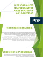 Protocolo Plaguicidas