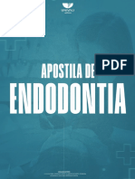 E Book Endodontia