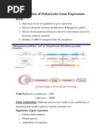 Nerve Principal