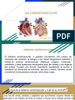 Sistema Cardiovascular