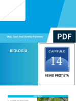 Biología - Semana N°14 - Reino Protista