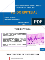 Teoria Tejido Epitelial