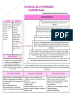 Historia Natural de La Enfermedad - Cancer de Mama