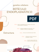 Retículo Endoplasmático