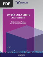 MAYO. Líneas de Debate AR 852-2017.