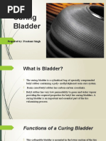 Bladder