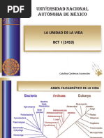 Componentes Celulares