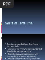 Fascia of Upper Limb