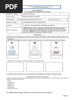 Guia de Aplicacion Cambios de Estado