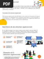 Estructura Organizacional