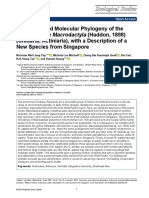 Yap Et Al 2023 Taxonomy and Molecular Phylogeny of The Sea Anemone Macrodactyla With A Description of A New Species From Singapore