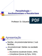 Ancilostomíase e Necatoríase