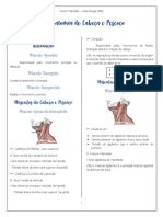 Anatomia de Cabeça e Pescoço