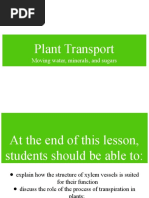 Plant Transport-Grade 11-Edited