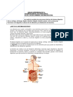 Ciencias Naturales - Guía N° 6 - 5° Básico