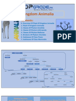 Tables of Kingdom Animalia