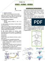 Tejido Nervioso, Neurona, Neuroglía