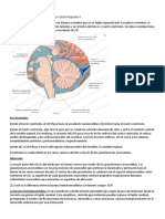 NEUROLOGIA