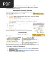 18 Eicosanoides