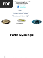 Myxomycète, Oomycètes Chitridiomycètes