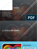 BIO T4 KSSM Chapter 6 - DLP