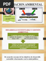 Remediacion Ambiental