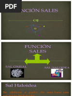 3°-Función Sales Haloideas (14-08-23)