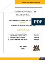 EF-Sistemas de Información Gerencial