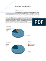 Sistema Respiratorio