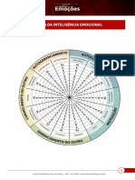 DIA 4 FERRAMENTA - Roda Da Inteligência Emocional