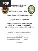 Práctica 12 Reconocimiento de Cloroplastos y Plastidios y Su Importancia en La Producción Agrícola