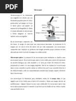 Informe ROYA