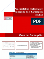 Encefalitis Post Sarampion