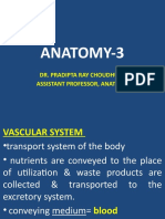 Anatomy3 Paramedical