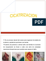 CICATRIZACION