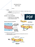 Biotech 2 Cell Transport