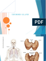 Thyroid