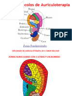 Taller de Protoclos de Auriculoterapia 2012