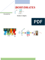 CARBOHYDRATES Lab