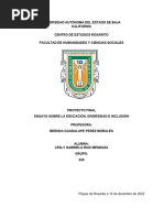 Ensayo Final Diversidad e Inclució