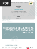 Respuestas Celulares Al Estres y Los Estimulos Nocivos.