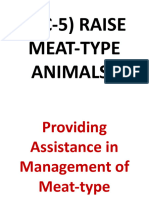 Uc-5) Raise Meat-Type Animals