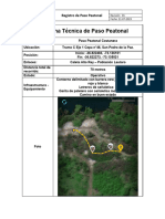 Ficha Técnica de Paso Peatonal - Costanera