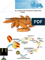 15 Germinación y Vigor de Las Semillas