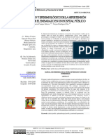 Perfil Clínico Y Epidemiológico de La Hipertensión Inducidapor El Embarazo en Un Hospital Público