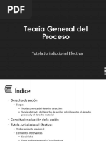 Semana 2 Teoría General Del Proceso