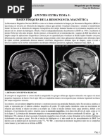 Apunts Tema 5 RessonÃ Ncia MagnÃ Tica